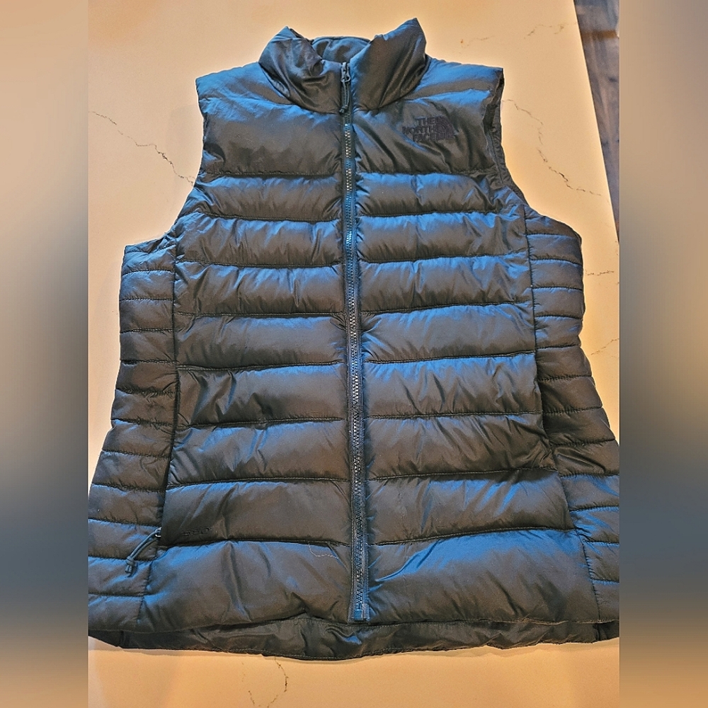 The North Face Teal Vest